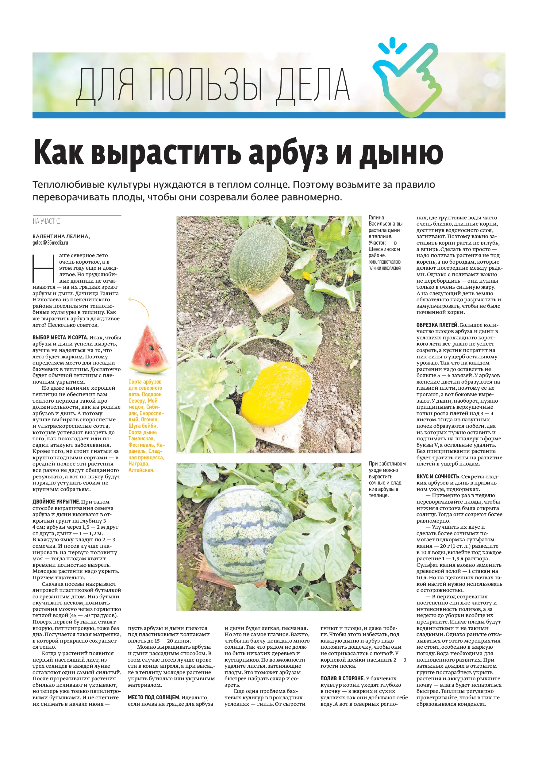 Страница 11