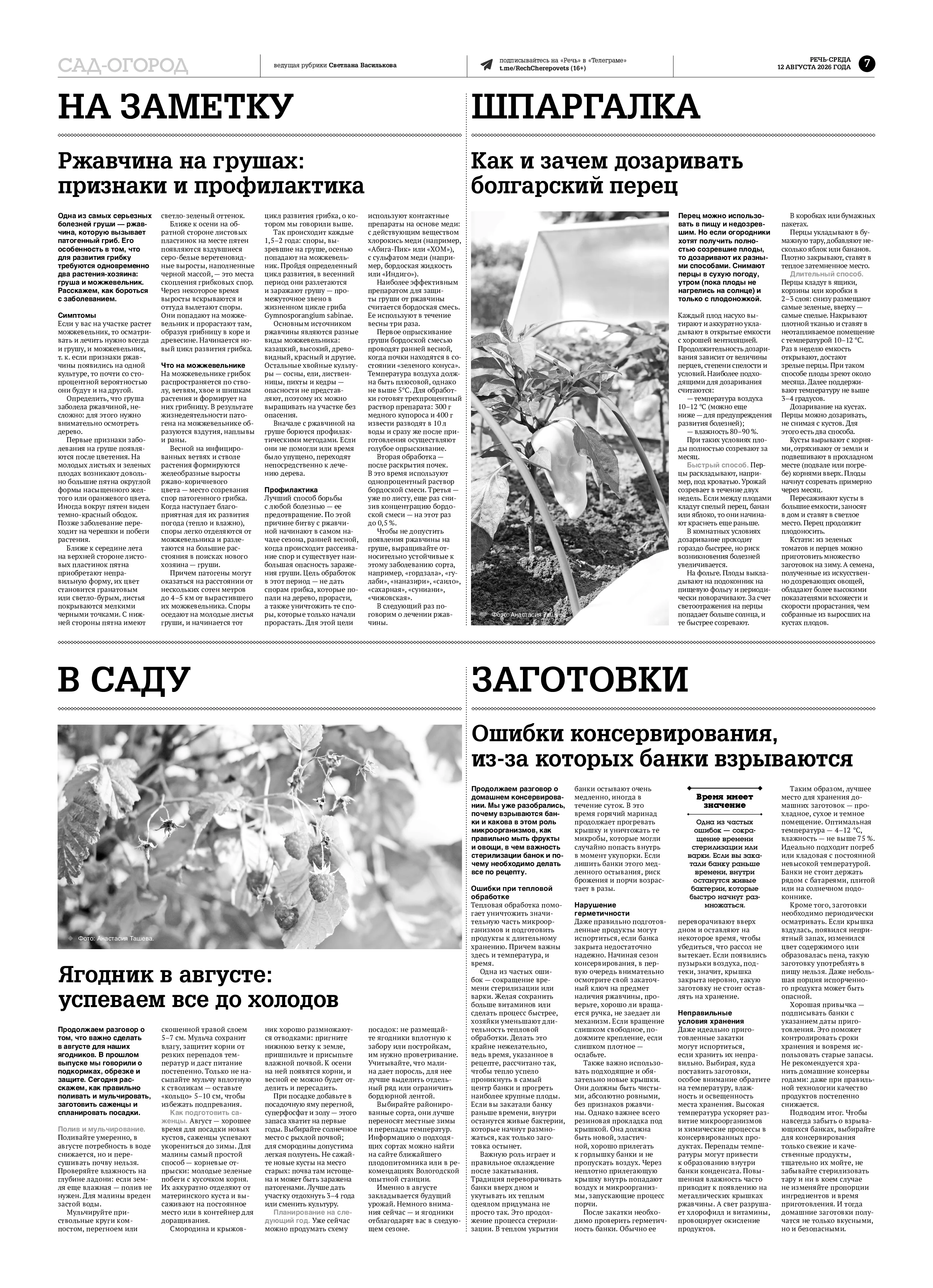 Страница 7
