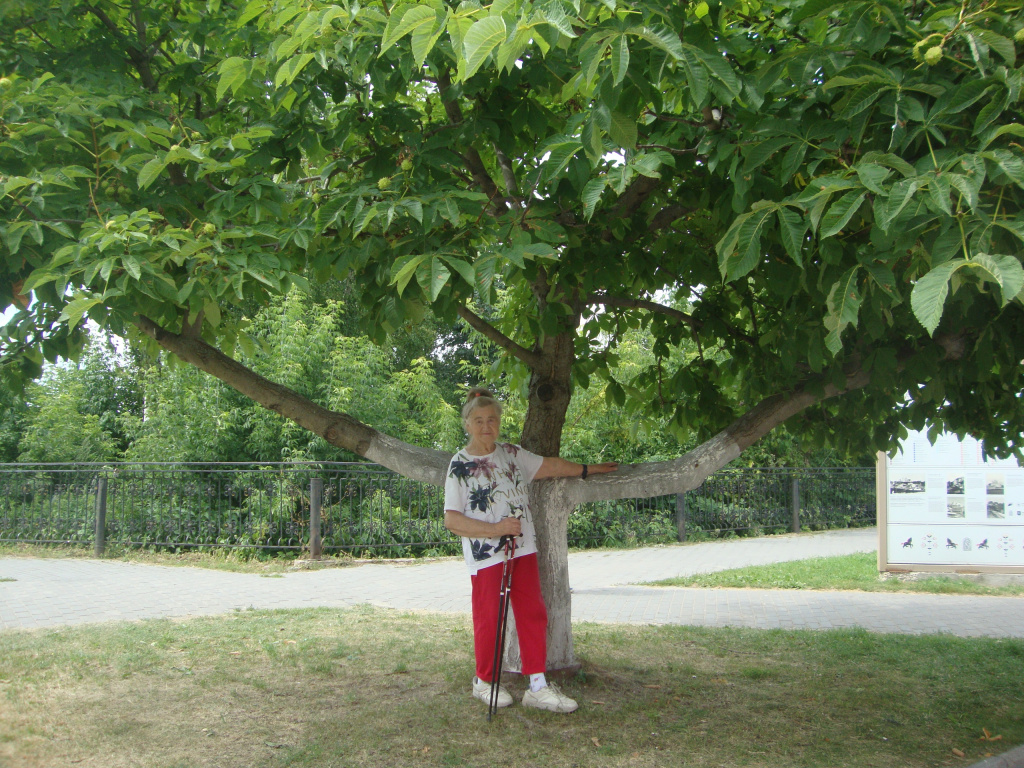 3 Нижний.jpg